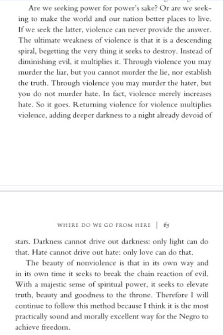 Hate cannot drive out hate; only love can do that.